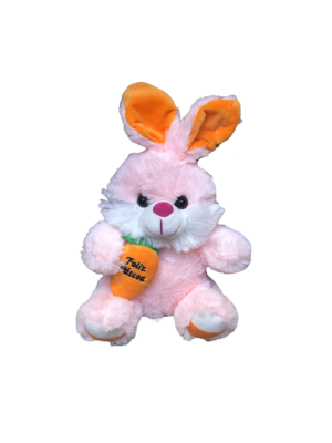 2 PELÚCIAS COELHO DA PÁSCOA FIZZY SEGURANDO CENOURA SORTIDO.